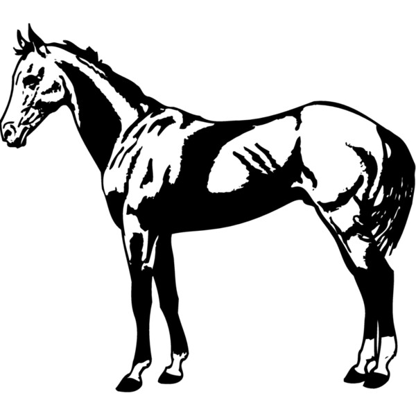HORSE018 Thumbnail