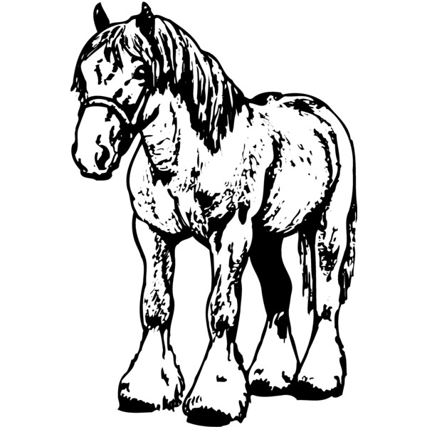 HORSE035 Thumbnail