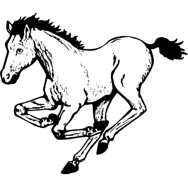 HORSE043 Thumbnail