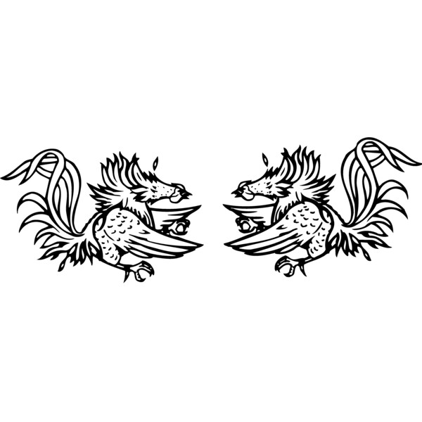 BIRD054 Thumbnail