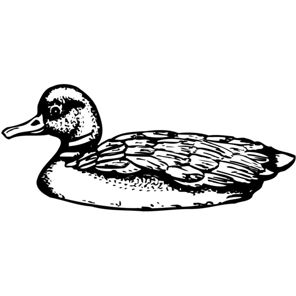 BIRD093 Thumbnail