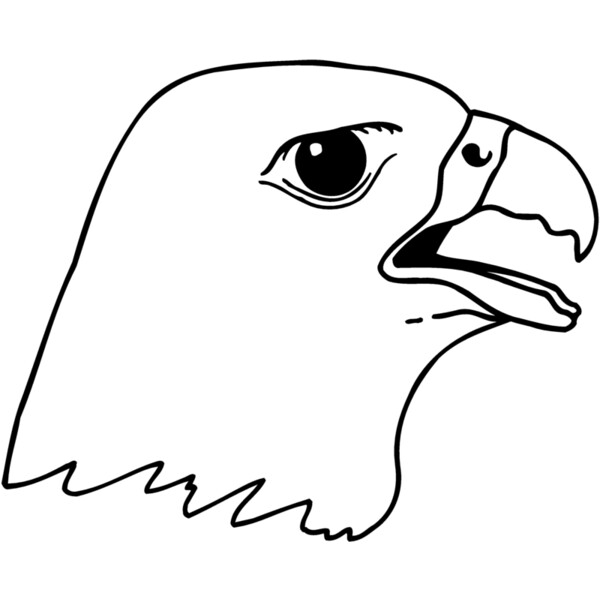 EAGLE45 Thumbnail