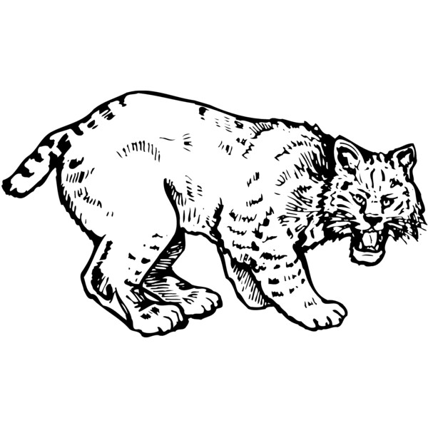 BOBCAT03 Thumbnail