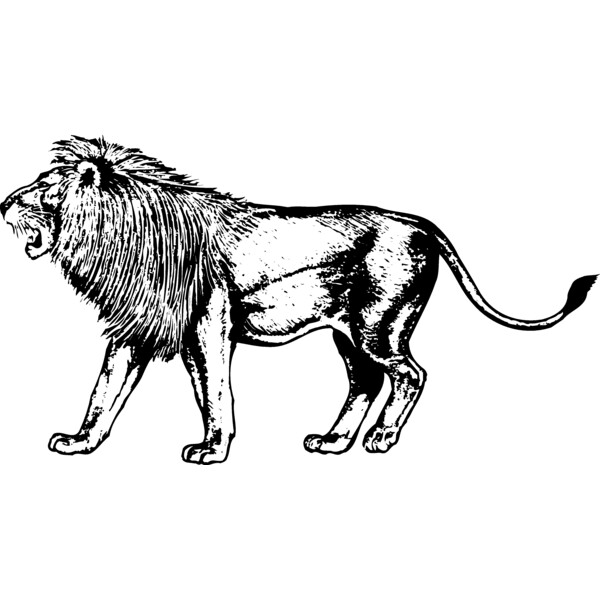 LION003 Thumbnail