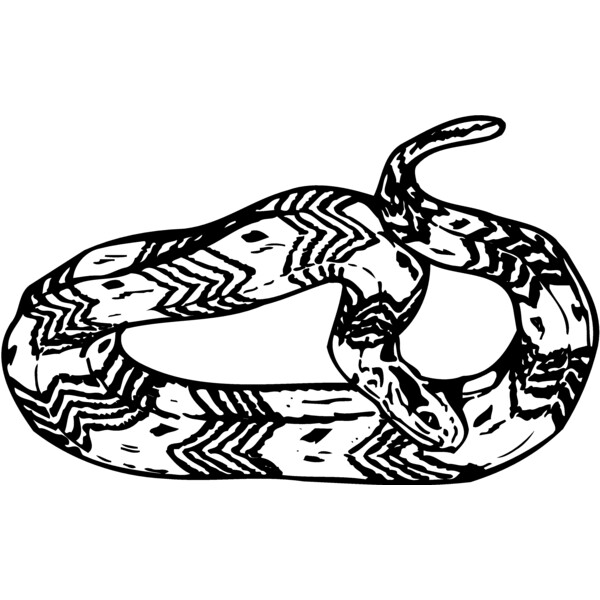 SNAKE002 Thumbnail