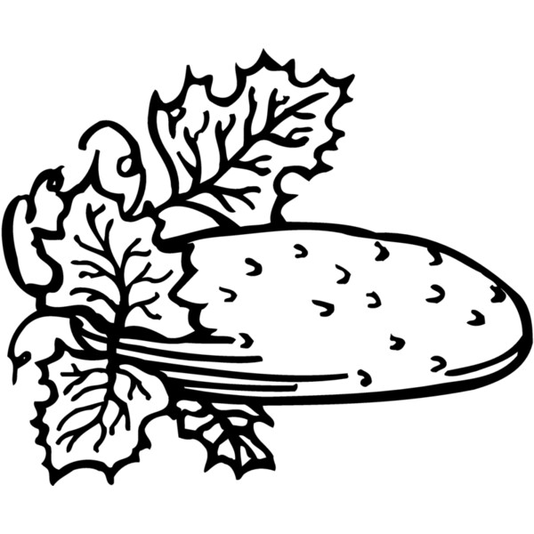 FRUIT002 Thumbnail