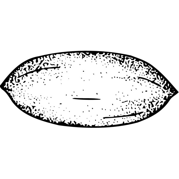 FRUIT006 Thumbnail