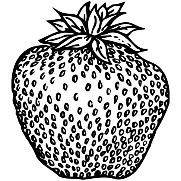 FRUIT008 Thumbnail