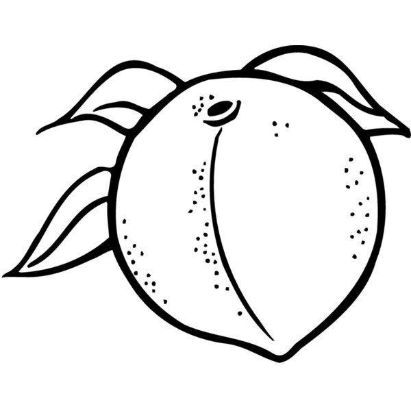 FRUIT023 Thumbnail