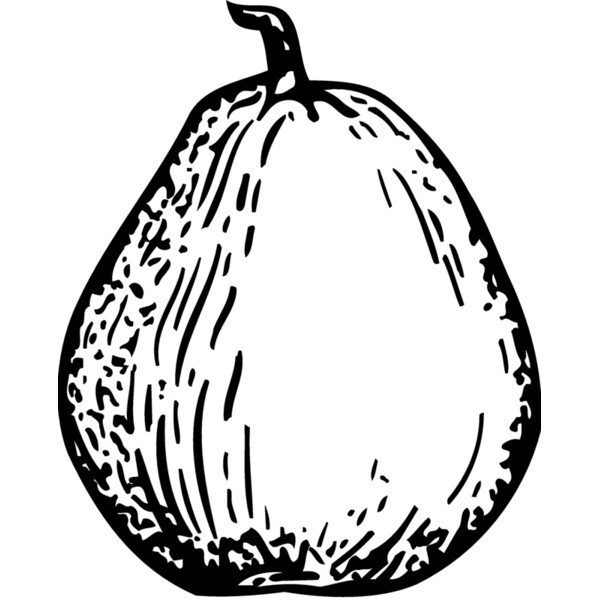 FRUIT026 Thumbnail