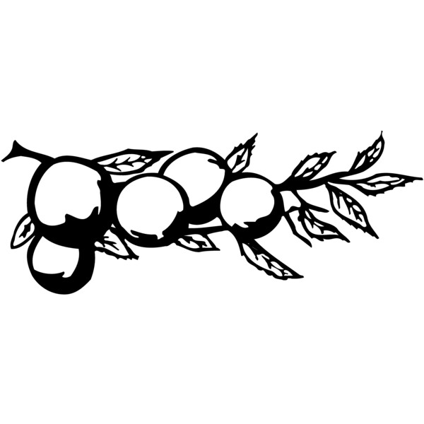 FRUIT028 Thumbnail