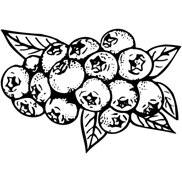FRUIT037 Thumbnail