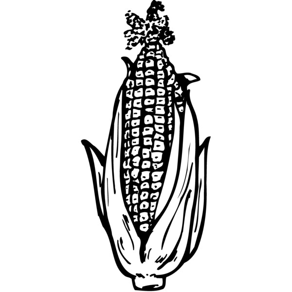 GRAIN013 Thumbnail