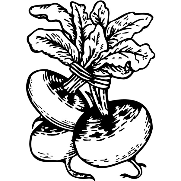 VEG017 Thumbnail