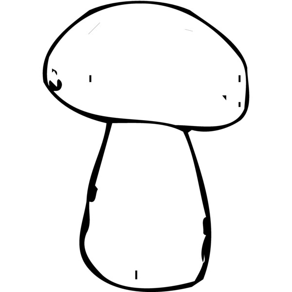 VEG024 Thumbnail