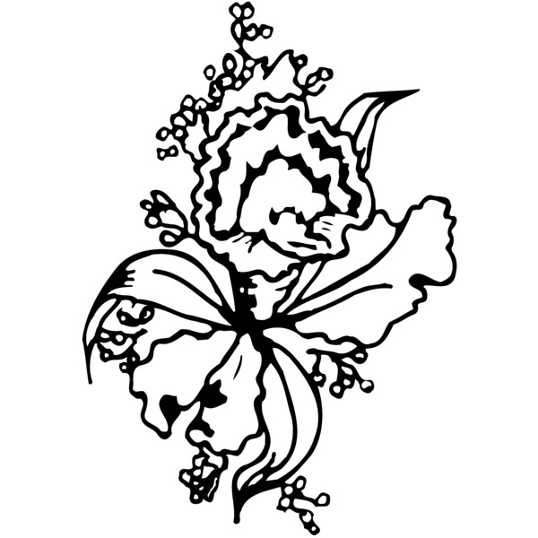 FLOWER13 Thumbnail