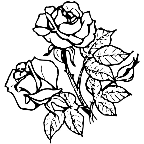 FLOWER21 Thumbnail