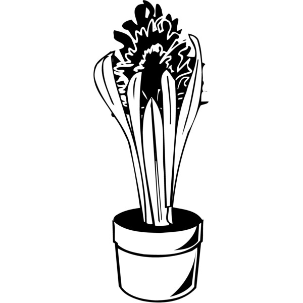 PLANT07 Thumbnail