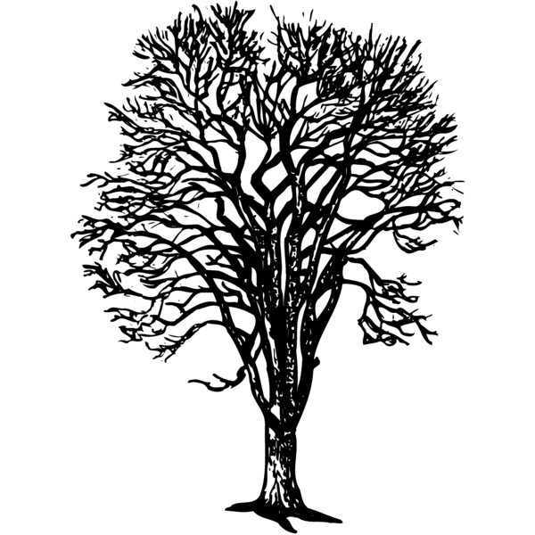 TREE0022 Thumbnail