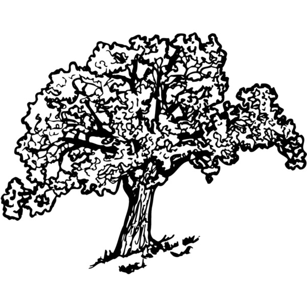 TREE0027 Thumbnail