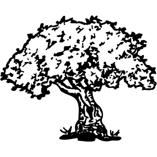 TREE0028 Thumbnail
