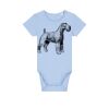 Baby Body Thumbnail