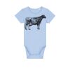Baby Body Thumbnail