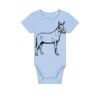 Baby Body Thumbnail