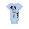 Baby Body Thumbnail