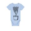 Baby Body Thumbnail